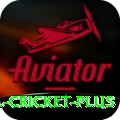 bbl cricket - Master v3.4.2