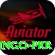 Bingo PKR Deluxe Pro v4.9.6