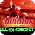 fastest ball in cricket Ultimate Rewards