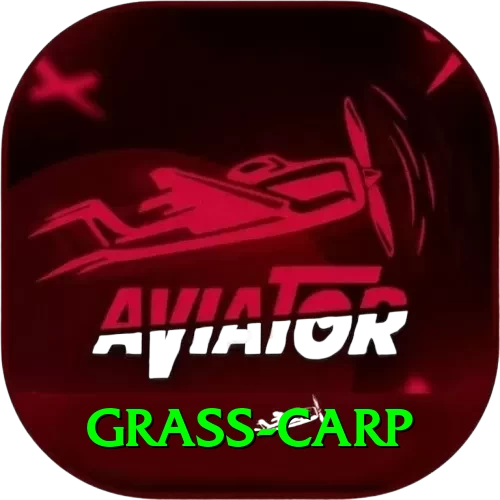 grass carp APK Pro v5.7.2 - 2