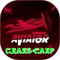 grass carp APK Pro v5.7.2