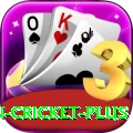 india pakistan cricket Money Turbo v2.7.0
