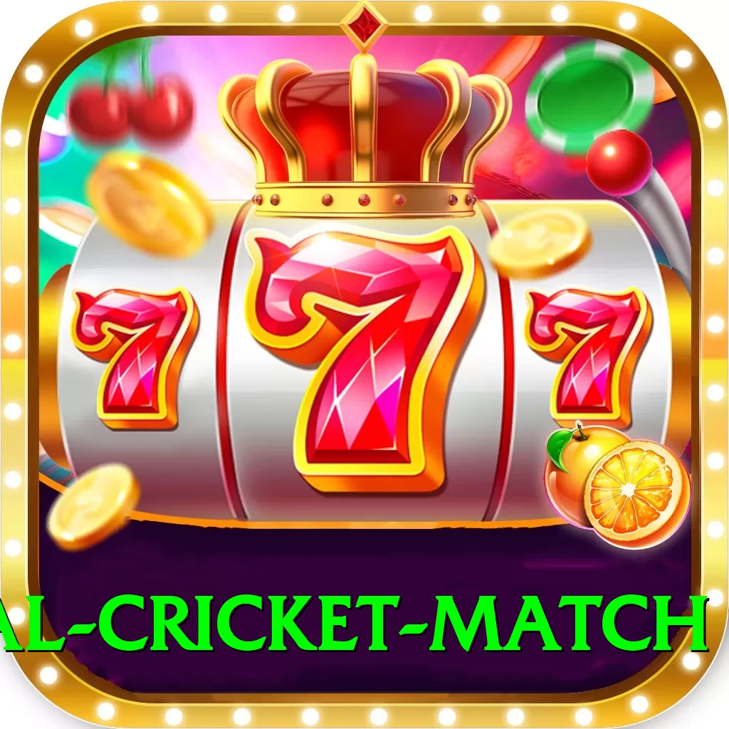 international cricket match Game King v3.9.9 - 2