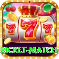 international cricket match Game King v3.9.9