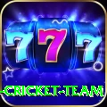 ireland cricket team Earn Super v1.2.7