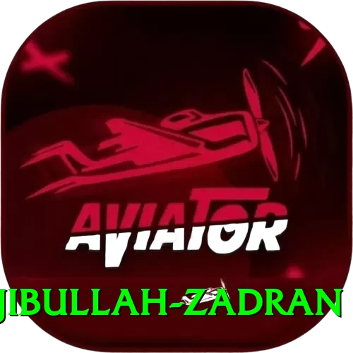 najibullah zadran Plus v3.3.1 - 2