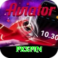 pkspin Money VIP v1.0.5