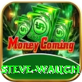 steve waugh Pro PK v4.3.4