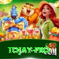 tojay Gold Latest v5.4.5